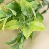 Букет искусственный &laquo;Листочки&raquo;, с напылением, 20 см