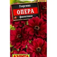 Семена цветов Георгина Опера фиолетовая, Ц/П,7 шт.