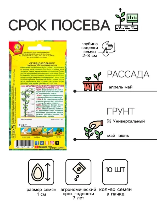 Семена огурца "Засолыч", F1, 10 шт.