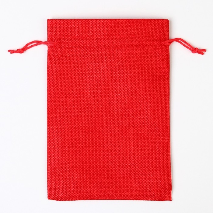 Мешок с термонаклейкой &laquo;Праздник&raquo;, 13 х 18 см +/- 1.5 см, Новый год