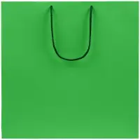 Пакет бумажный Porta L, зеленый