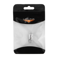 Автолампа светодиодная T10 W5W, 12 В, 2 СОВ, 2 Вт, линза, свет белый Автолампа светодиодная T10 W5W, 12 В, 2 СОВ, 2 Вт, линза, свет белый