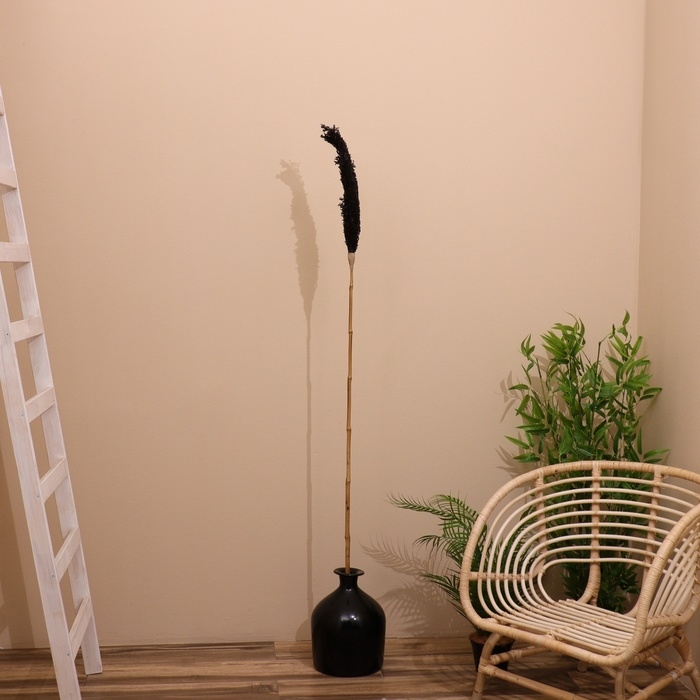 Сухоцвет Сухоцвет "Пати" 180 см черный