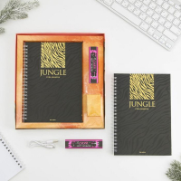 Набор ежедневник и павер банк, мод.РВ-04, &laquo;Сияй&raquo;, 22,7 х 24,5 см.