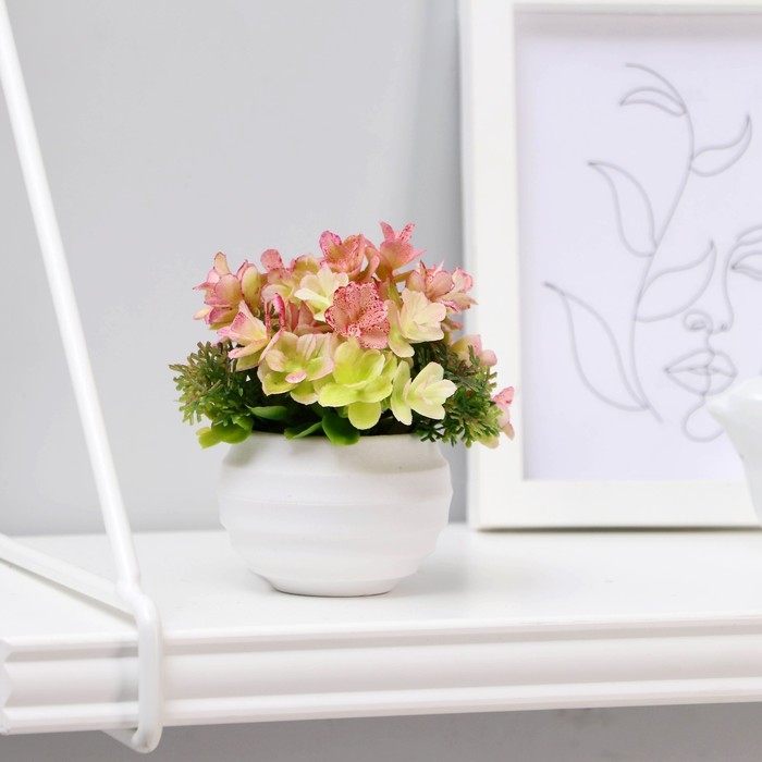 Бонсай в горшке Бонсай в горшке "Суккуленты пышные" 6х8 см, микс