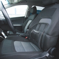 Ортопедическая спинка TORSO, на сиденье с массажером на сиденье 38&times;39 см