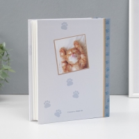 Фотоальбом на 200 фото 10х15 см Image Art 081 животные Фотоальбом на 200 фото 10х15 см Image Art 081 животные