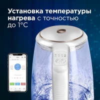 Чайник электрический REDMOND SkyKettle RK-G203S, стекло, 2 л, 2200 Вт, регулир. t°, белый Чайник электрический REDMOND SkyKettle RK-G203S, стекло, 2 л, 2200 Вт, регулир. t°, белый