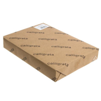 Картон переплётный 0.9 мм, 21 х 30, 50 листов, 540 г/м², белый Картон переплётный 0.9 мм, 21 х 30, 50 листов, 540 г/м², белый