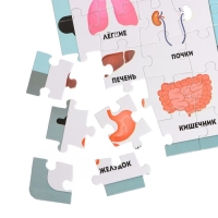 Пазлы светящиеся &laquo;Рентген-кабинет&raquo;, 88 деталей