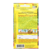 Семена Цветов Бегония "Америгибрид гофрированная", F1, мандарин оранж, пробирка, 5 шт Семена Цветов Бегония "Америгибрид гофрированная", F1, мандарин оранж, пробирка, 5 шт