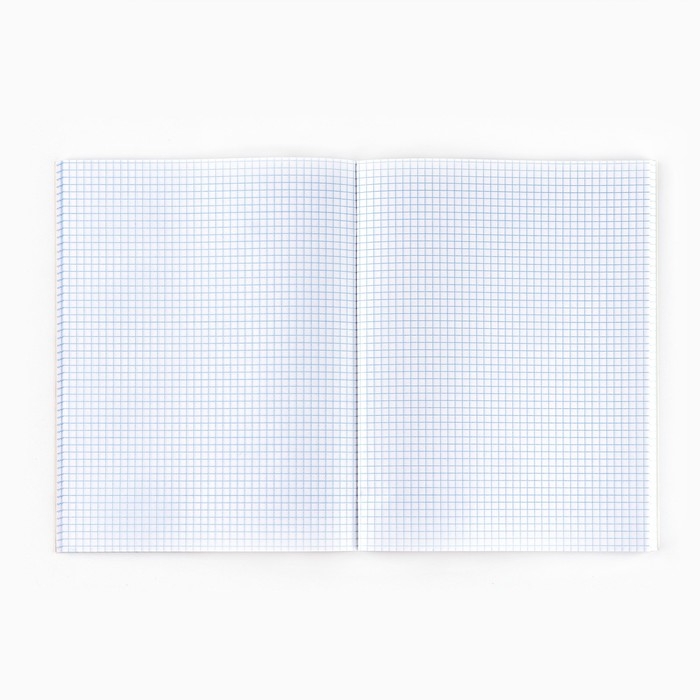 Тетрадь в клетку А4, 80 листов на скрепке &laquo;1 сентября:Приснилось, что выспался&raquo;