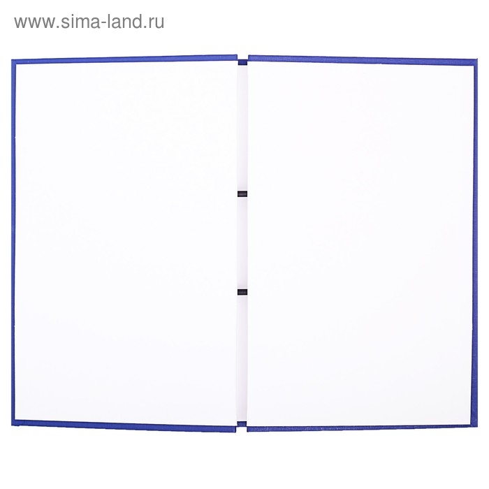 Папка "Дипломная работа" А4 на болтах, бумвинил, без бумаги, цвет синий (вместимость до 300 листов)