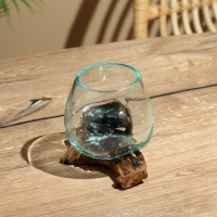 Вазон на коряге "Очарование" 12х10х10 см