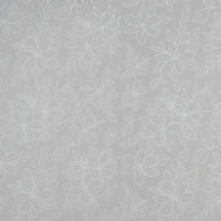 Плёнка для цветов упаковочная глянцевая прозрачная «Цветы», белая, 0.6 x 10 м Плёнка для цветов упаковочная глянцевая прозрачная «Цветы», белая, 0.6 x 10 м