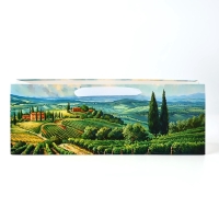 Пакет под бутылку горизонтальный &laquo;Сад&raquo;, 36 &times; 10 &times; 13 см