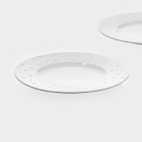 Набор тарелок 2 шт Magistro Fray 21х1,9 см