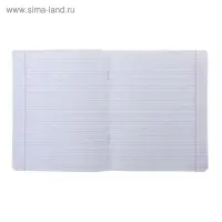 Тетрадь 12 листов в косую линейку &laquo;Зелёная обложка&raquo;, термоупаковка 25 шт.