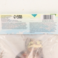 Амариллис Махровый Double King, многолетник, луковица, р-р 24/26, 1 шт.