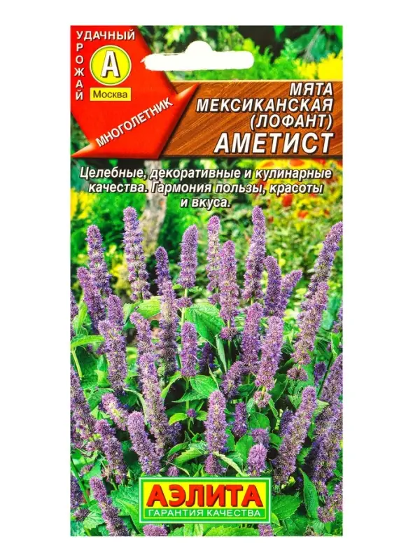 Семена Мята мексиканская Аметист, Ц/П,0,05 г