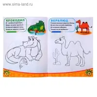 Раскраска &laquo;Животные южных стран&raquo;, 12 стр.