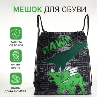 Мешок для обуви на шнурке, цвет чёрный/зелёный Мешок для обуви на шнурке, цвет чёрный/зелёный