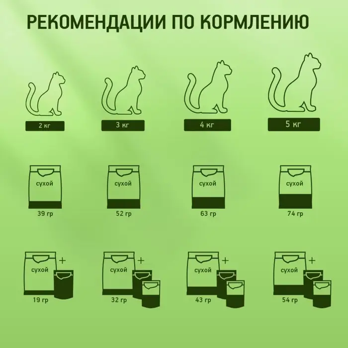 Влажный корм Kitekat для кошек, говядина в желе, пауч, 85 г