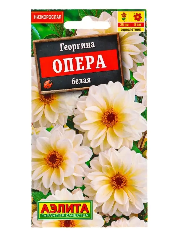 Семена цветов Георгина Опера белая , Ц/П,7 шт.