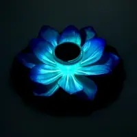 Садовый светильник для водоемов 28 х 28 х 9 см на солнечной бат-е "Лотос" фиол-ый N010