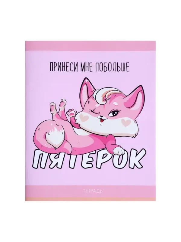 Тетрадь 48 листов в клетку Calligrata &laquo;Лисички&raquo;, обложка мелованная бумага, серые листы, МИКС