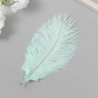 Перо декоративное страуса "Мятно-зеленый" h=15-20 см