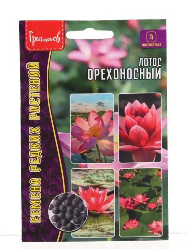 Семена цветов Лотос Орехоносный  2 шт.  12.29 г.