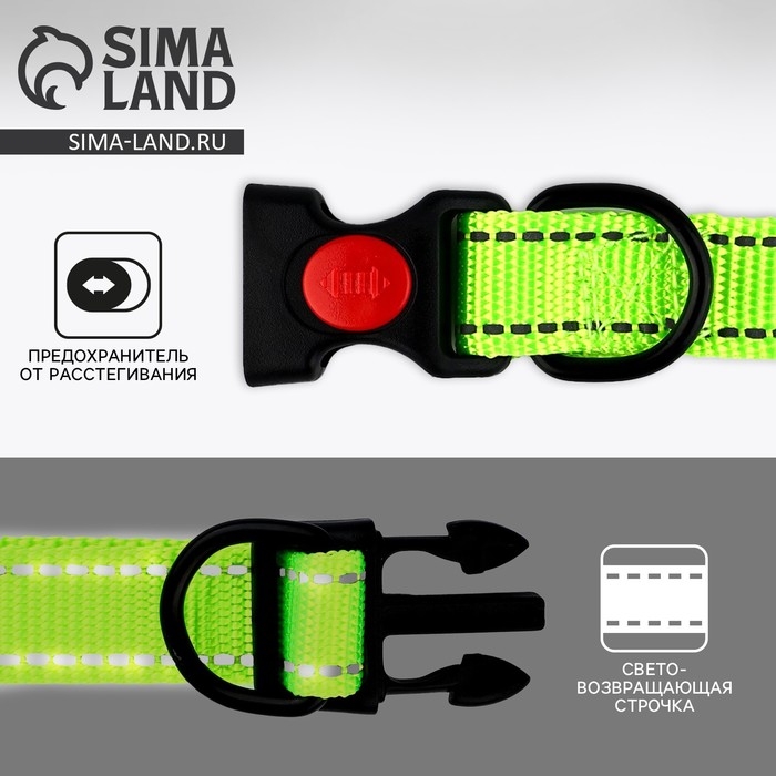 Ошейник из нейлона с фастексом 2 см, ОШ 27-40 см, зелёный