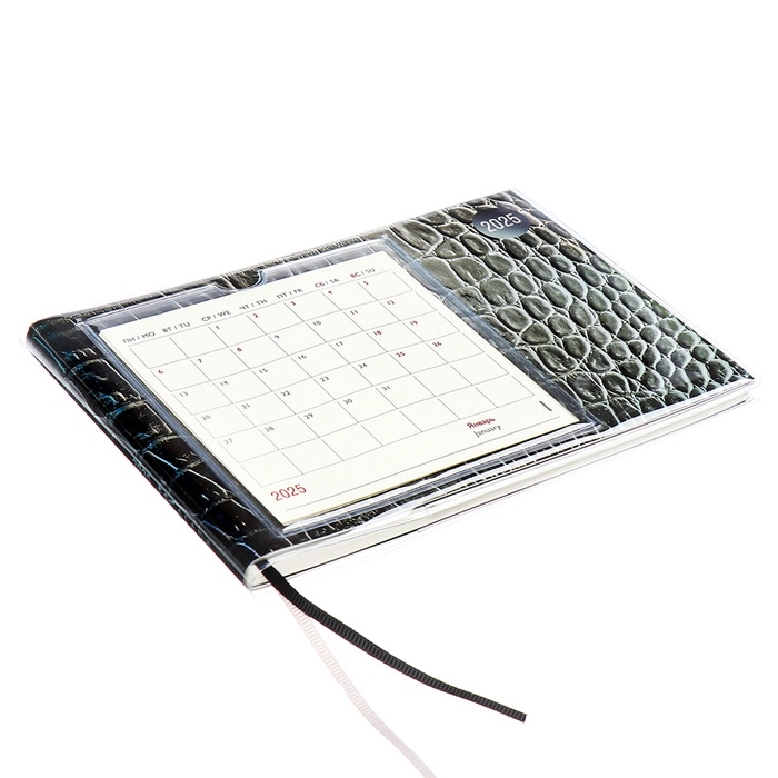 Еженедельник датированный 2025 год, ESCALADA "змея металлик", мягкая обложка ПВХ, 64 листа, блок 70 г/м&sup2;, 180 х 127мм