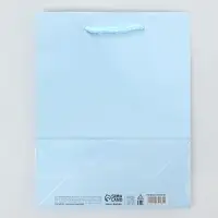 Пакет подарочный ламинированный, упаковка, &laquo;Голубой&raquo;, MS 18 х 23 х 8 см