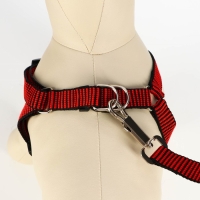 Комплект амуниции рельефный, поводок 120 х 2 см, ОГ 44-50 см, красно-чёрный