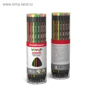 Карандаш чернографитный, ErichKrause &laquo;Vivo&raquo;, HB, d=2.2 мм, с ластиком, дерево, трехгранный в тубусе, микс