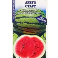 Семена Арбуз Старт /Сотка/ 5шт/ ультраскор. до 7кг полосатый /*900