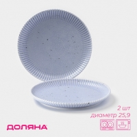 Тарелки Доляна &laquo;Коралл&raquo;, d=25,9 см, набор 2 шт, фарфор, голубые