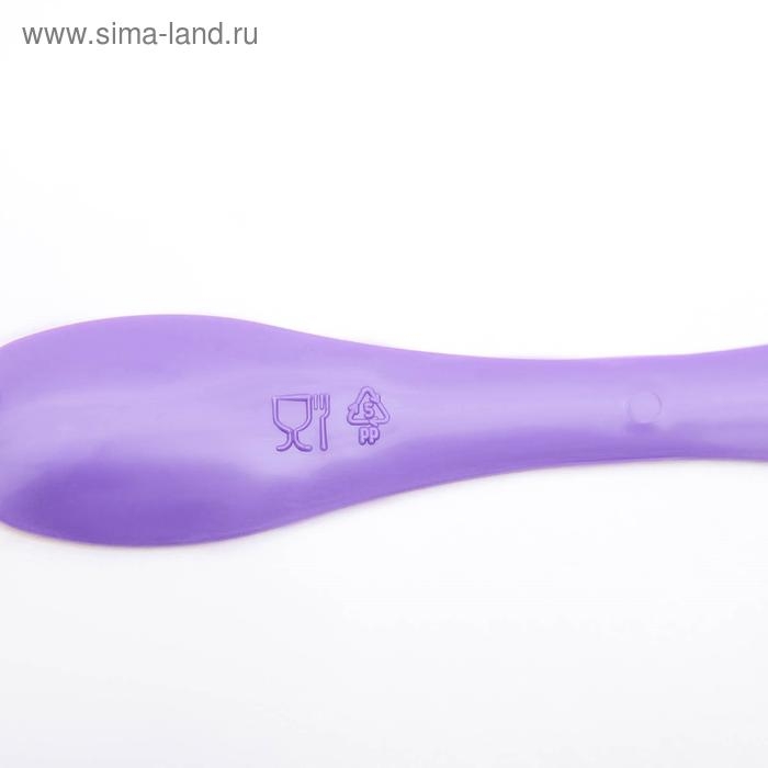 Набор банок для специй &laquo;Соль, перец, паприка, гвоздика&raquo;, 260 мл, 4 шт