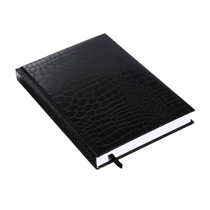 Ежедневник датированный 2024 года, А5, 176 листов, Attomex.Arkona, обложка бумвинил, ляссе, блок 70 г/м2, чёрный