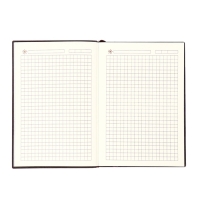 Ежедневник недатированный, формат А6+,116 листов, клетка, ЛАЙТ Бордовый, тониров. срез Ежедневник недатированный, формат А6+,116 листов, клетка, ЛАЙТ Бордовый, тониров. срез