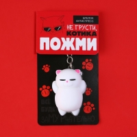 Брелок мялка для ключей &laquo;Не грусти&raquo; 5 х 3,8 см