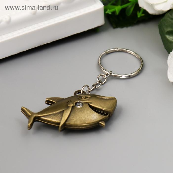 Брелок металл Брелок металл "Акула" МИКС 2,7х4,7 см