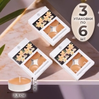 Свечи чайные ароматизированные "Французская ваниль" в подарочных коробках, 18 шт 1050013 Свечи чайные ароматизированные "Французская ваниль" в подарочных коробках, 18 шт 1050013