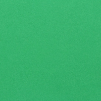 Фоамиран, темно-зеленый, 1 мм, 60 х 70 см Фоамиран, темно-зеленый, 1 мм, 60 х 70 см