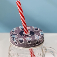 Кружка стеклянная с крышкой и трубочкой &laquo;Сова&raquo;, 470 мл, 10&times;11,5&times;12,5 см, цвет МИКС