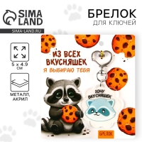 Брелок для ключей акриловый «Енот», 5 х 4,9 см Брелок для ключей акриловый «Енот», 5 х 4,9 см