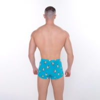 Трусы мужские боксеры &laquo;Гуси&raquo;, цвет голубой, размер 48 (M)