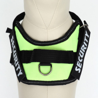 Шлейка К9 мягкая светоотражающая, размер ХS, ОГ 38-50 см, вес 3-6 кг, зелёная Шлейка К9 мягкая светоотражающая, размер ХS, ОГ 38-50 см, вес 3-6 кг, зелёная